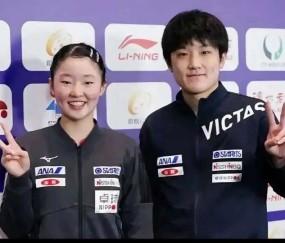 张本兄妹24小时火速叛逃！德甲三倍薪资挖角，樊振东81%胜率能保王座？